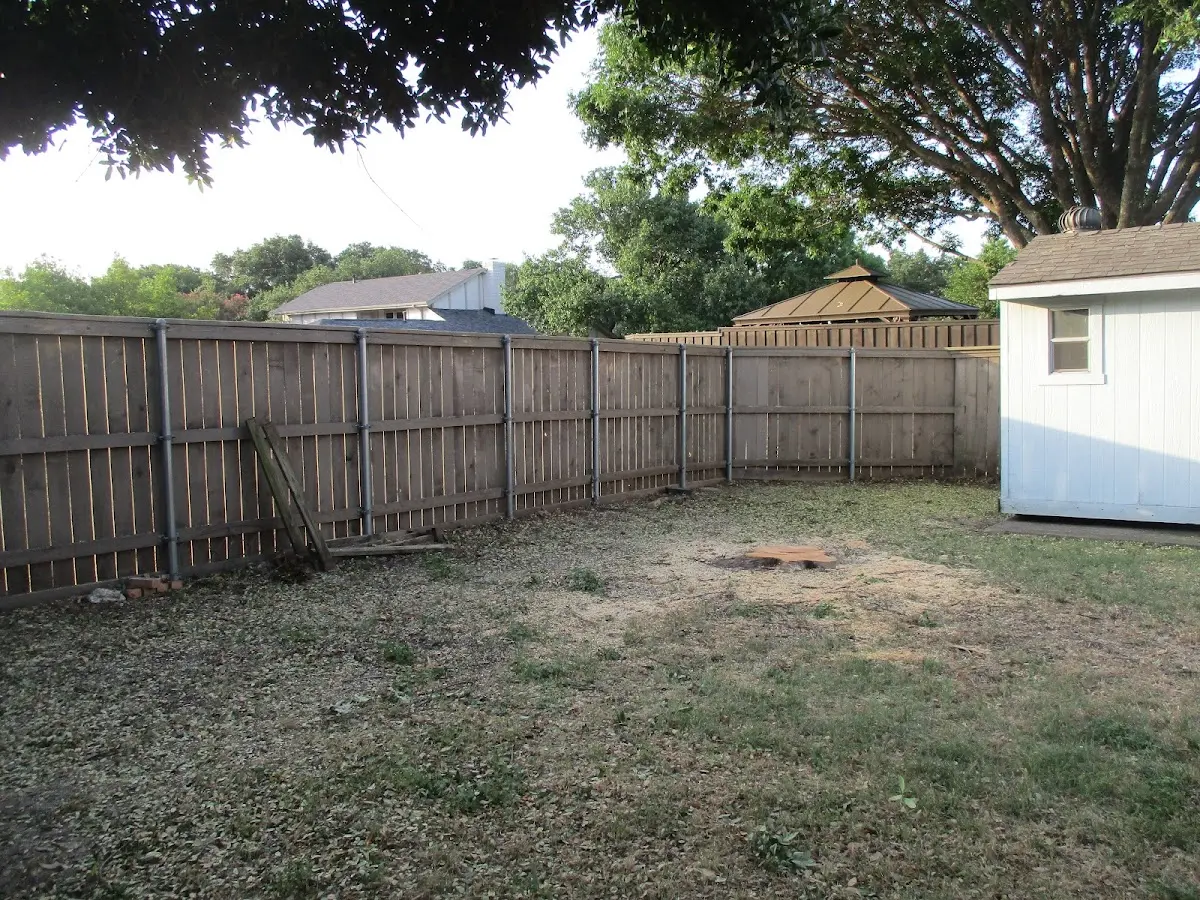 Cleared yard after professional tree removal in Spencertown